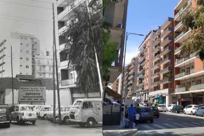 Bari, le foto di Picone negli anni 50: ecco come � cambiata la zona antica del quartiere